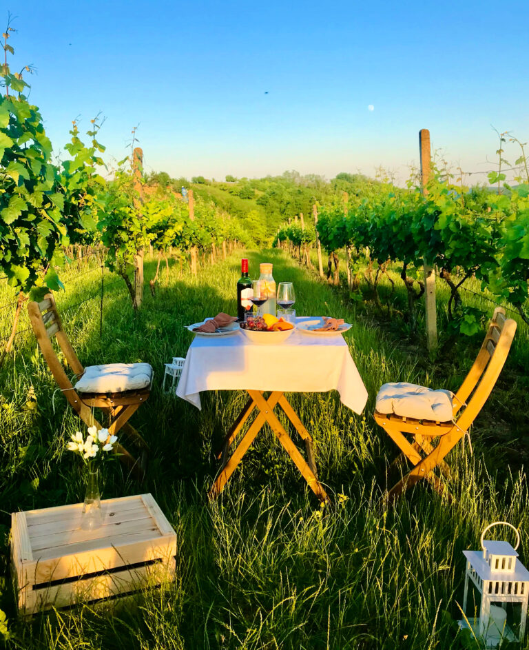 netradiční dárek k Vánocům Brno